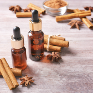 Cannelle (Cinnamomum)