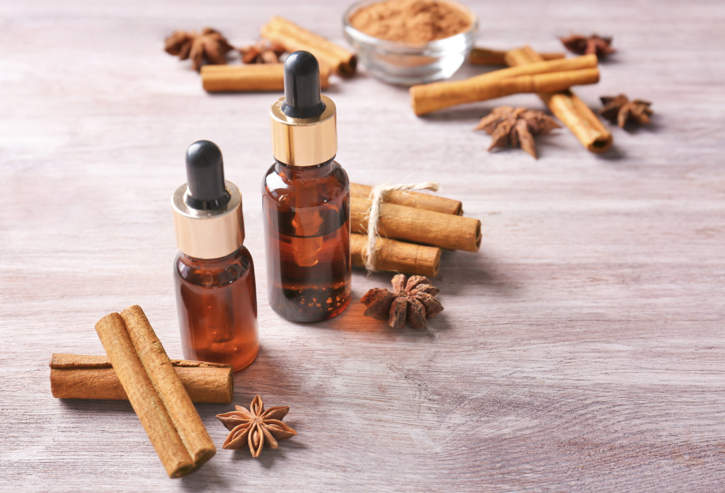 Cannelle (Cinnamomum)