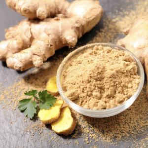 Gingembre (Zingiber officinale)
