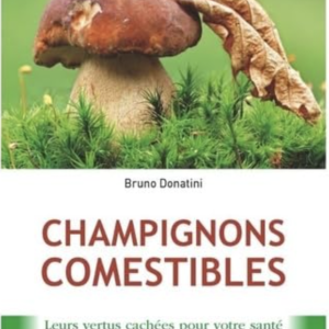 Champignons comestibles: LEURS VERTUS CACHÉES POUR VOTRE SANTÉ