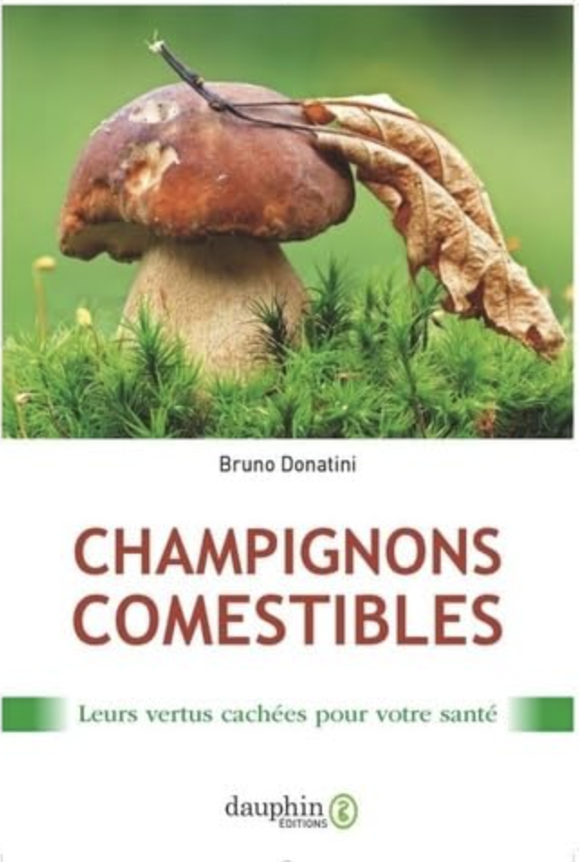 Champignons comestibles: LEURS VERTUS CACHÉES POUR VOTRE SANTÉ