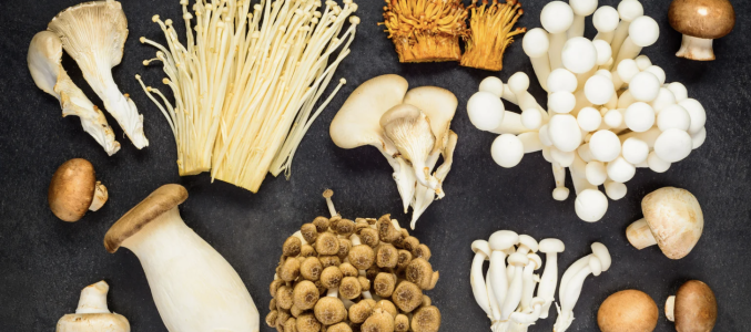 Pourquoi y a-t-il moins de cancer du sein en Asie ? (bienfaits des champignons)
