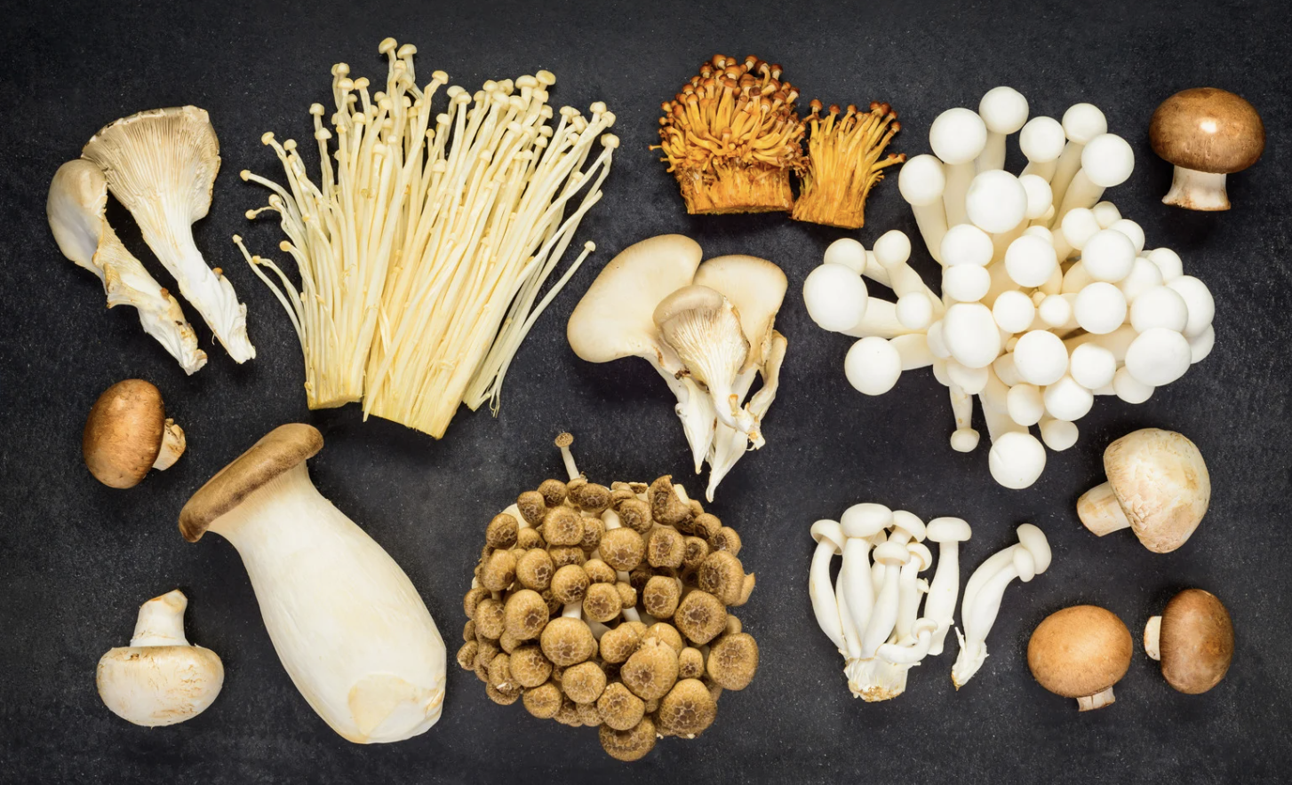 Pourquoi y a-t-il moins de cancer du sein en Asie ? (bienfaits des champignons)