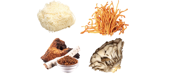 Bienfaits des champignons pour le mental !