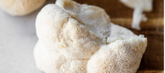 Recettes de Hericium – Lion&rsquo;s mane