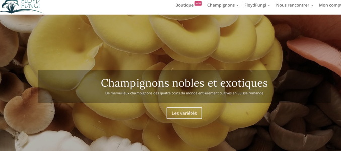 Floyd Fungi : Une passion pour les champignons à La Sarraz