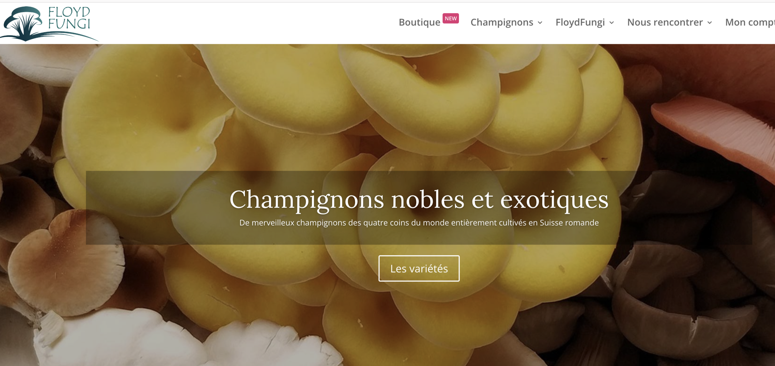 Floyd Fungi : Une passion pour les champignons à La Sarraz