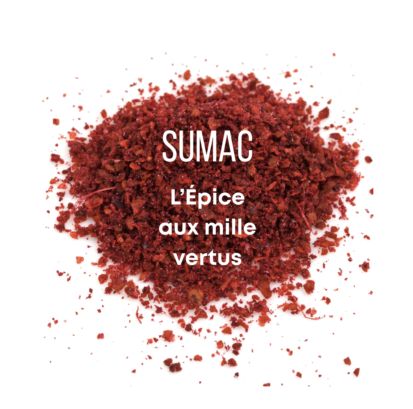 Zoom sur le SUMAC – L’épice pourpre aux mille vertus 🌿
